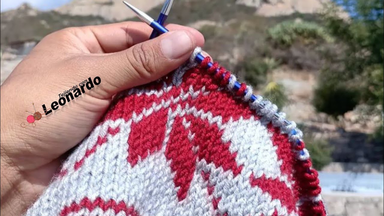 Curso para Tejer Fair isle, Jacquard Gorro y Cuello/Tejiendo con Leonardo