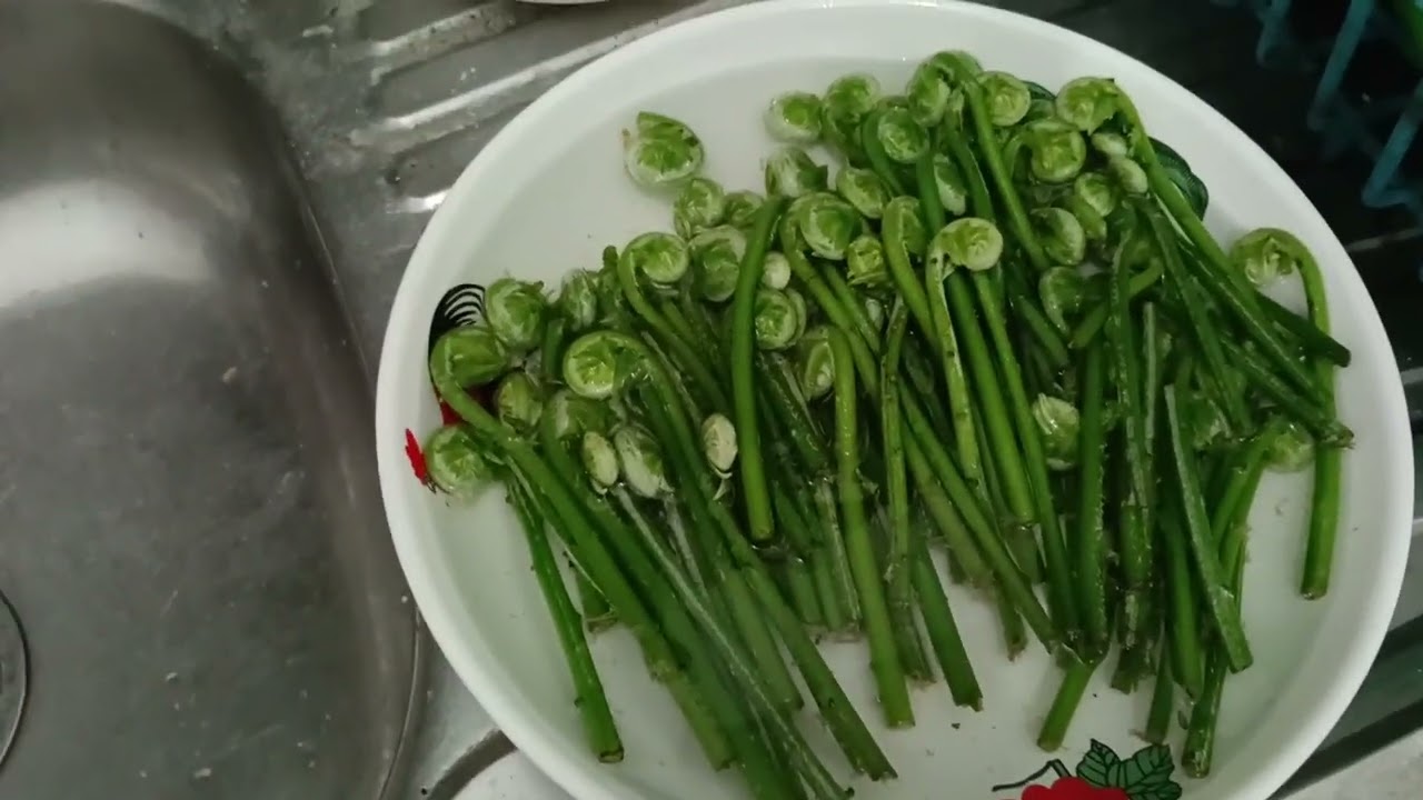 Pakis Belacan campur Ikan Tahai 