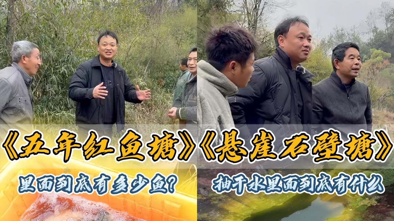 大表哥花5000元包下5年没有干的红鲤鱼塘，里面到底会有多少鱼？｜花3500包元下30年没干过的悬崖石壁塘，里面到底会有什么？