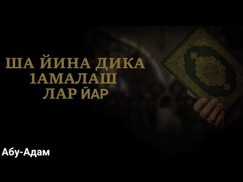 Ша йина дика