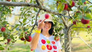 Orchard Days at Filoli