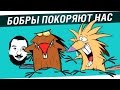 Бобры покоряют нас! - Продли свою молодость