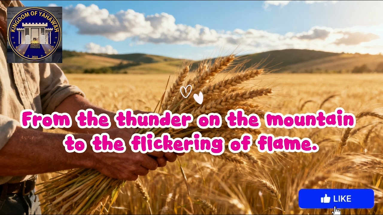 Firstfruits of the Field