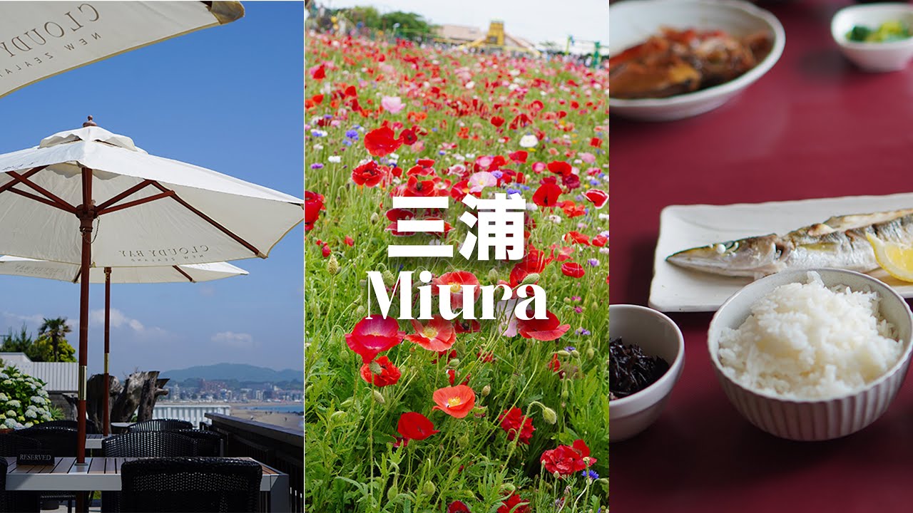 【神奈川・三浦】神奈川最南端の海と野菜の街三浦市へ日帰り観光！｜ビーチエンドカフェ｜ソレイユの丘｜ あらさき食堂｜アラサー夫婦｜2023年5月｜【4K】