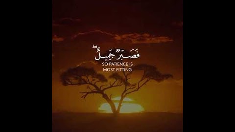 عسى الله أن يأتيني بهم جميعا القارئ إسلام صبحي