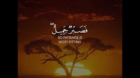 عسى الله أن يأتيني بهم جميعا القارئ إسلام صبحي