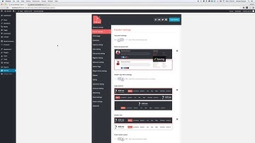 Theme Options 1 for the Ask Me