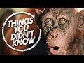 7 MORE Things You (Probably) Didn't Know About Planet of the Apes