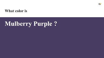 Mulberry Purple color #493c62 hex color - Violet color - Warm color 493c62