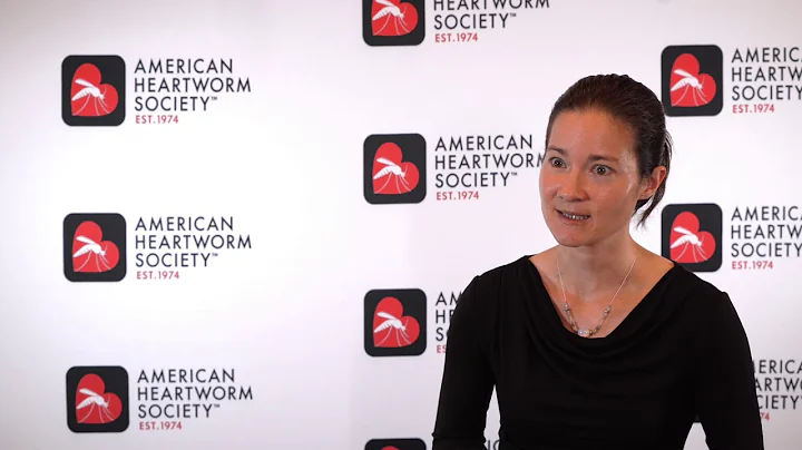 How to Manage Right-sided Heart Failure in Dogs with Heartworm Disease