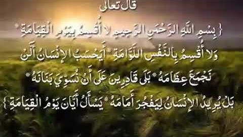 تلاوة مؤثرة للأخ عبد الله العريف