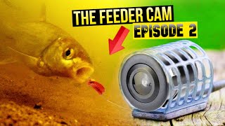 THE FEEDER FISHING CAM part 2