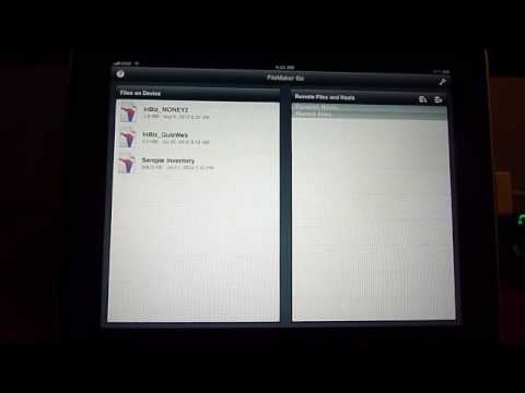 FileMaker Go Window Branching Via A Script