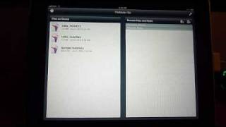 FileMaker Go Window Branching Via A Script