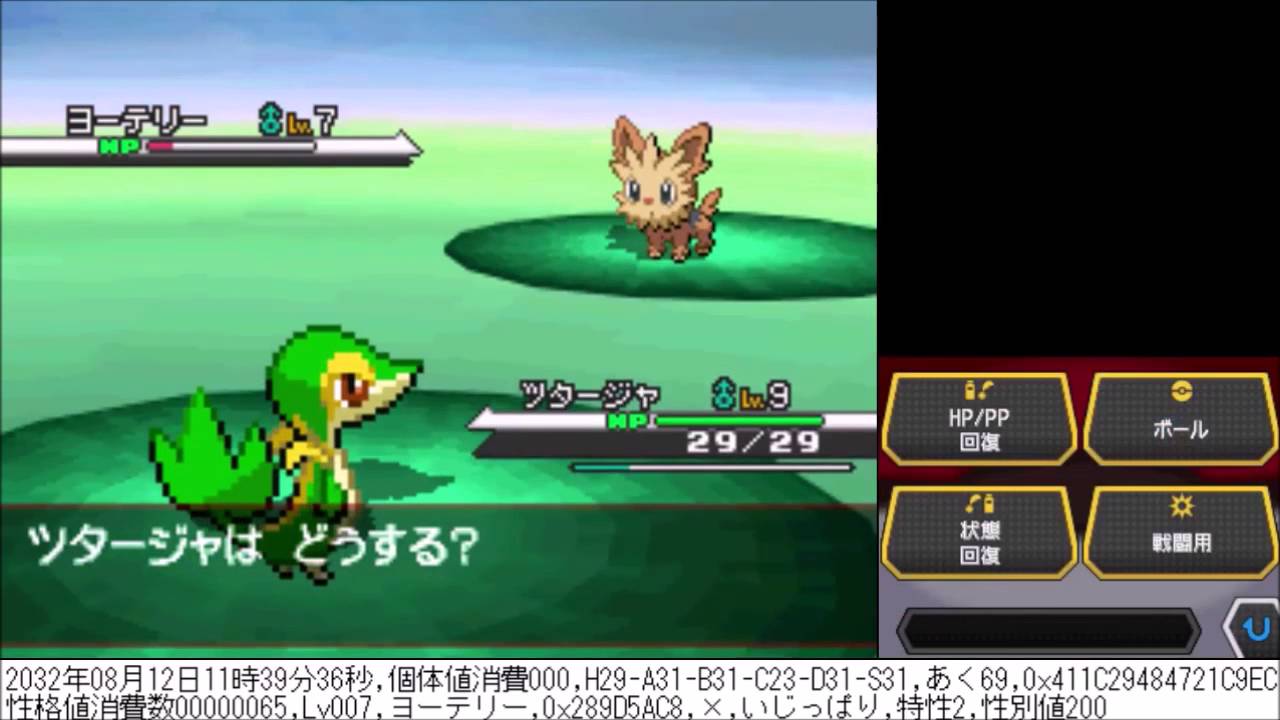 乱数調整 ポケモン ブラック ホワイト Rta 野生のヨーテリー いじっぱり 特性2 29 31 31 23 31 31 Youtube