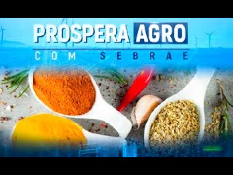 Prospera Agro | Produção de temperos – AgroMais