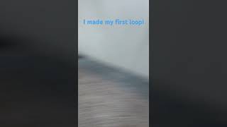 I made my first loop!#shorts#funny#smallyoutuber