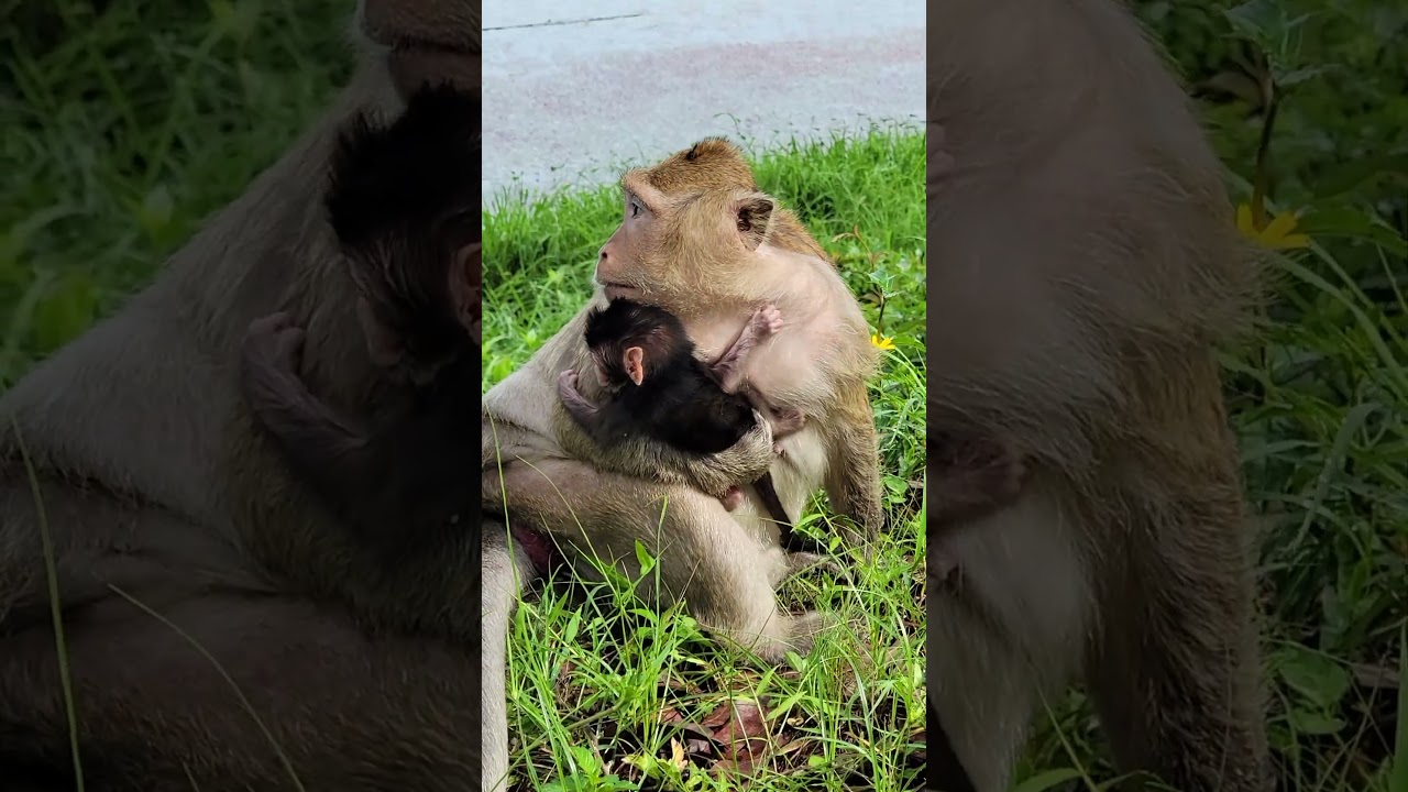 Brinn hugs newborn firmly