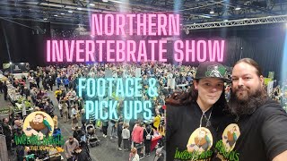 Northern Invert Show 2024 | Footage and Pick Ups #invertshow #expo #tarantula