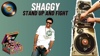 Shaggy - Stand Up And Fight - Reggae