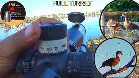 FULL TURRET ❗HEAD SHOT JARAK JAUH BERBURU BELIBIS PAKAI SRG SLUG