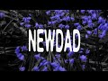 Newdad  in my head visualiser