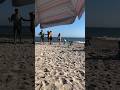 Beach Camel #camel #beachlife #camelsvideo