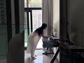 【掃除】ゲーミングデスク モニター拭き