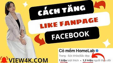 Cách Tăng Like Fanpage & Follow Fanpage Facebook Mới Nhất |Tăng Theo Dõi Fanpage 5 Phút Lên Ngay