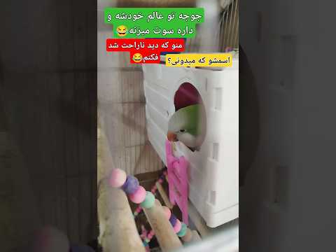 بگی اسمشو نمیدونی ناراحت میشم ازت  ترند    