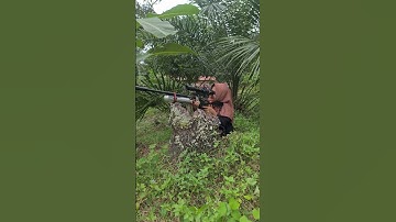 hama tupai#hunting #sniper