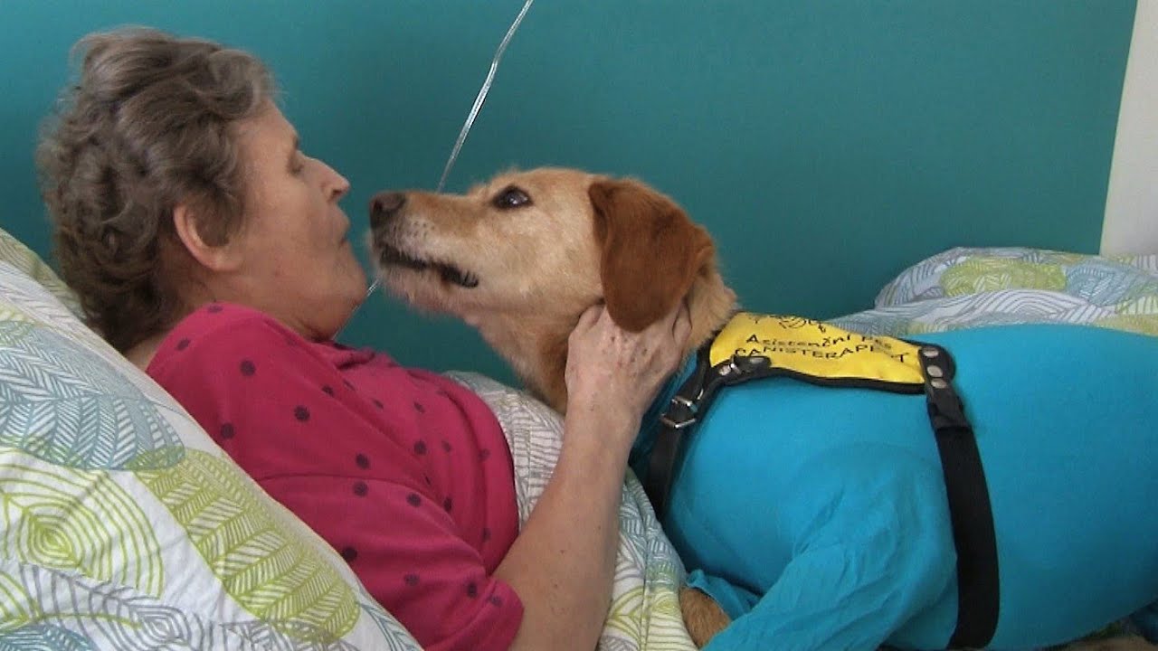 Canisterapie v Domově pro seniory