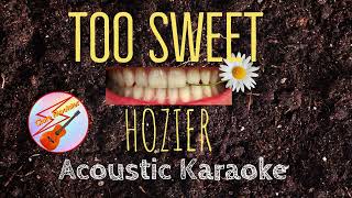 Too Sweet | Hozier | Acoustic Karaoke