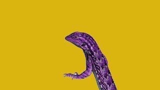 Real Life Motivational Lizard