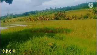 gamelan jawa mistis (no copyright)