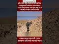 ছাই থেকে উঠে দাঁড়ানো ফিনিক্স ঠিক তেমনভাবেই আবারও আলোচনায় ইরান#Short#shortvideo #shortviral#iran