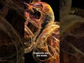 You Are Made of Exploding Stars#StarStuff #Supernova #NeutronStar #Astrophysics #ScienceShorts