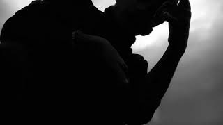 Selunglai Cover For Nineo