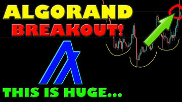 ALGORAND ALGO JUST BROKE ITS MOST IMPORTANT RESISTANCE EVER! THIS IS NEXT!
