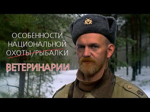 Видео: Старые достижения в ветеринарии по-прежнему новы - Старая школа ветеринарии