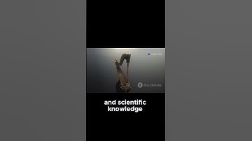 How Silk Road Changed Culture Forever