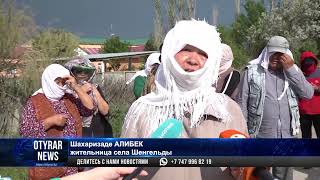 662 млн тенге на борьбу с мошками и комарами в Туркестанской области