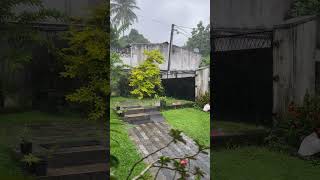 Another rainy day!!! #relaxingmusic Another rainy day!!! #relaxingmusic