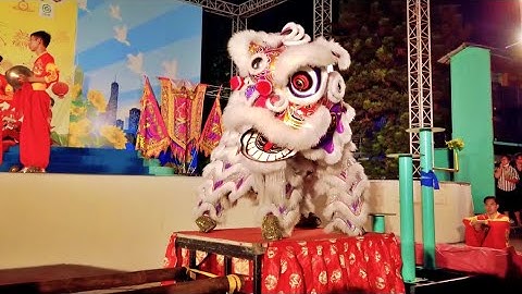 2022 - Múa Lân Địa Bửu - Tâm Hoa Đường - Về Chợ Lớn Xem Múa Lân Tháng 11 2022