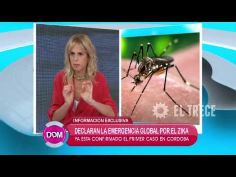 Video: ¿El chikungunya se transmite de persona a persona?