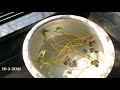 How to Grow lotus plant at home | Lotus Plant | lost Moments | first 15 days update.