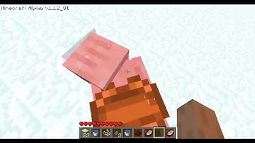 Worst transportation method in Minecraft alpha 1.1.2_01