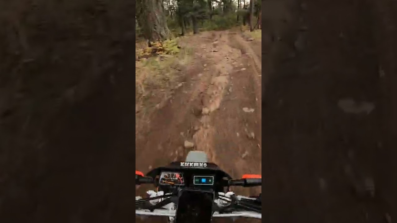 TW200 Dual Sport Adventures | Can the TW200 trail ride with a 220lb person?