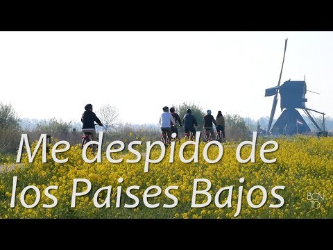 Video: Consejos para una excursión de un día a los molinos de viento de Kinderdijk