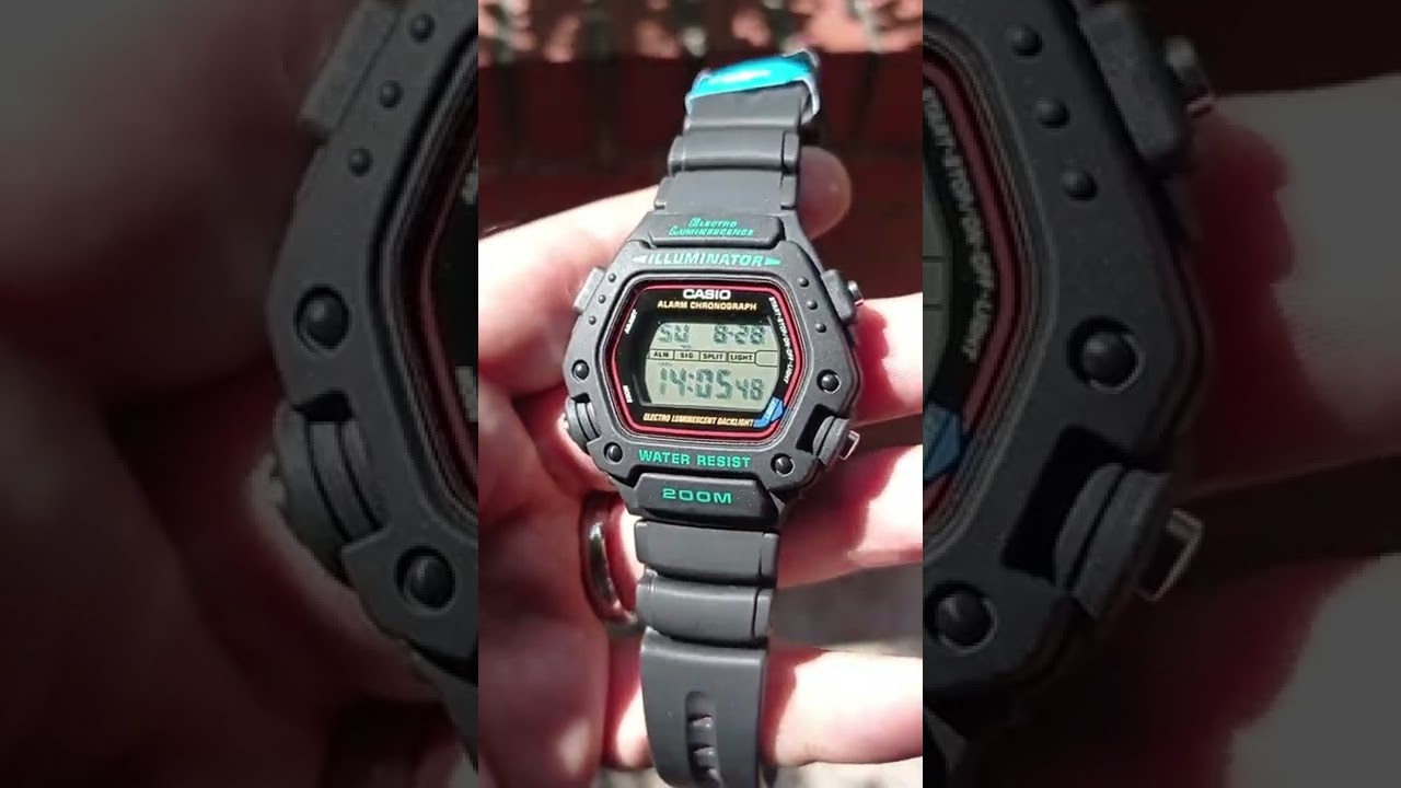 Casio DW290-1V